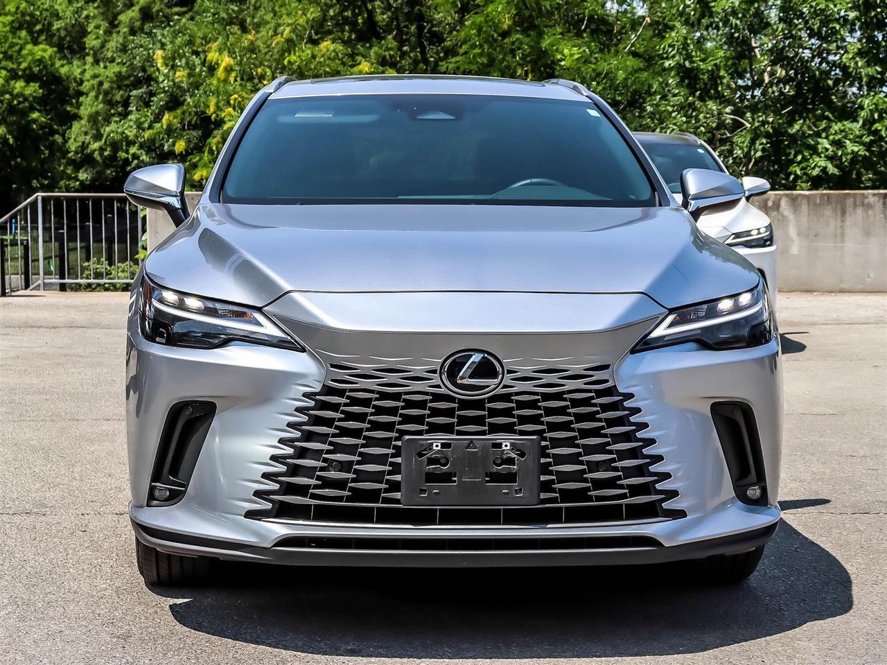 2025 Lexus RX RX 350 Auto Photo