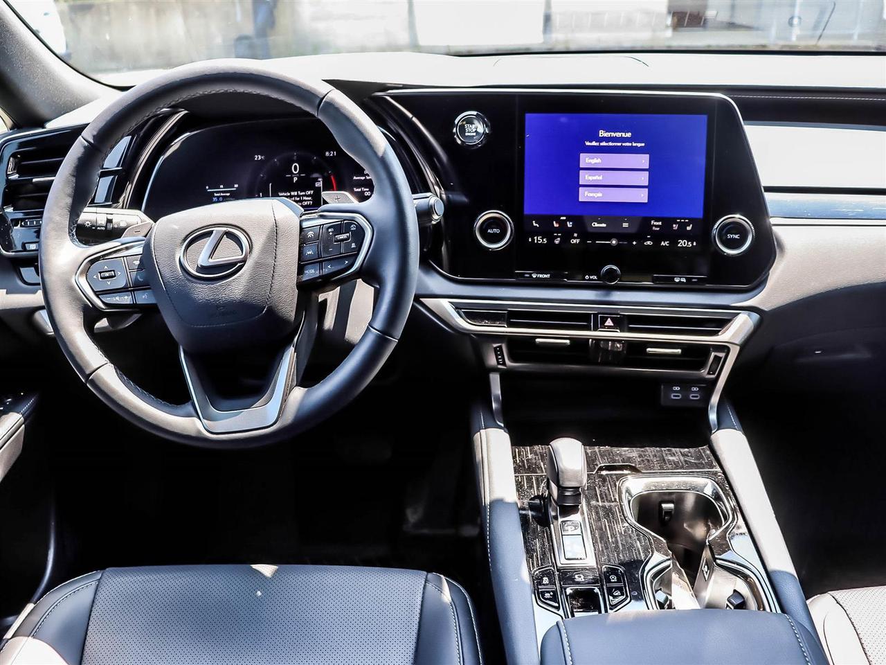 2025 Lexus RX RX 350 Auto Photo