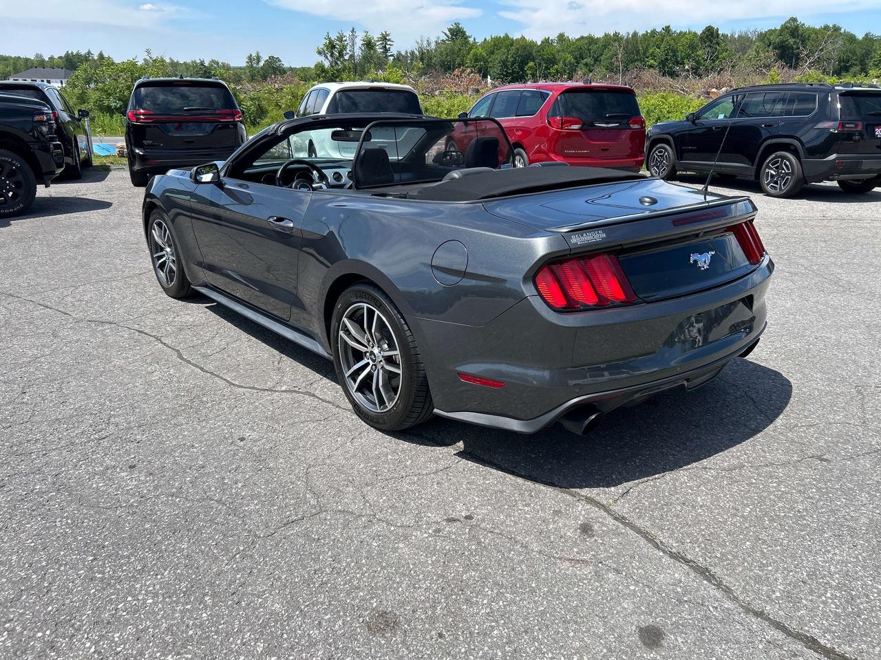 2017 Ford Mustang EcoBoost Premium Photo