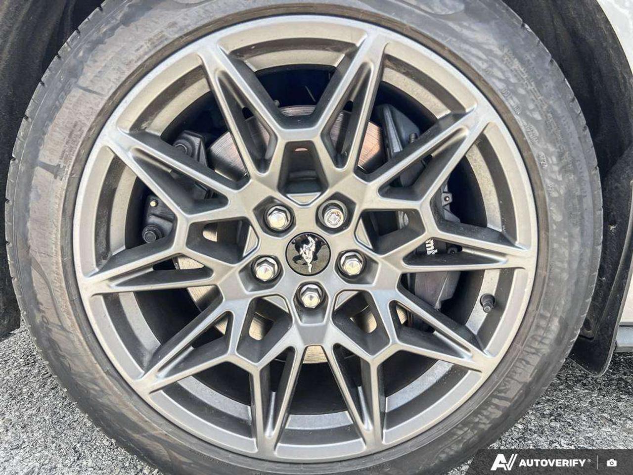 2025 Ford Mustang GT   300A   PERFORMANCE PKG Photo