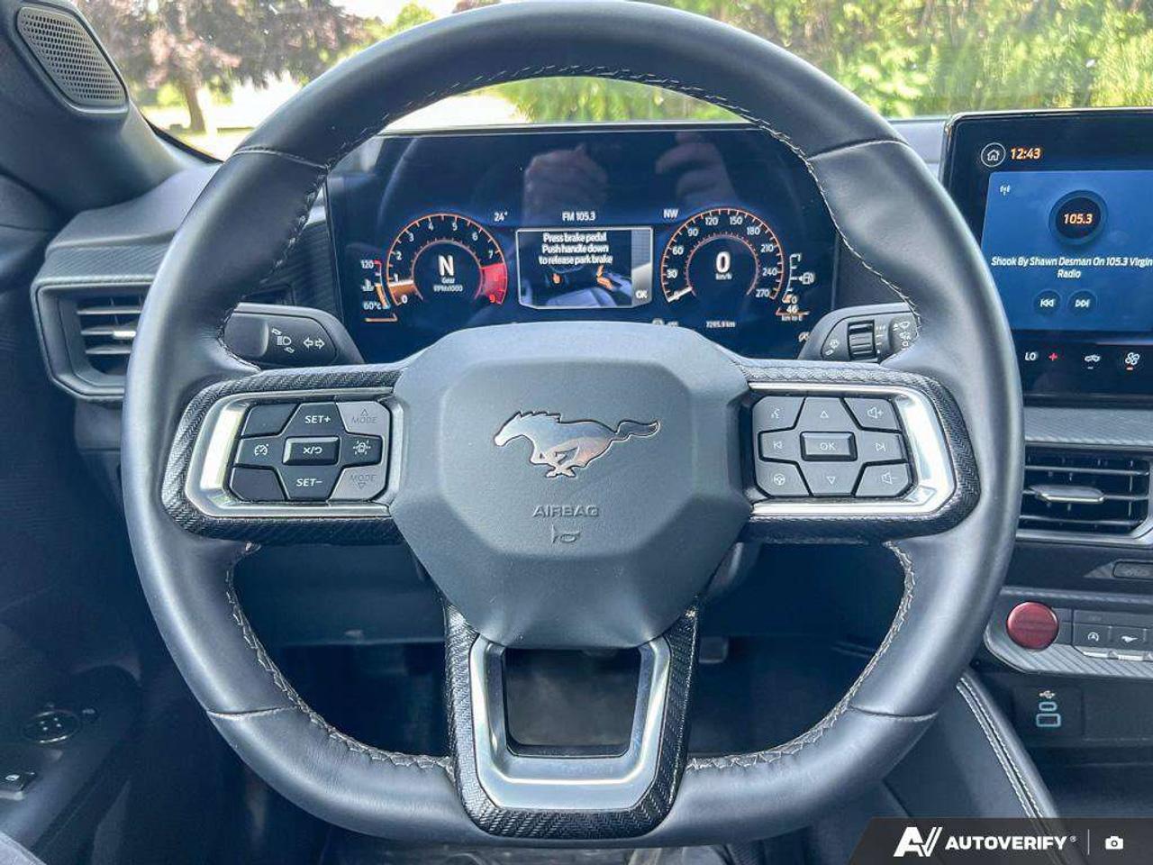 2025 Ford Mustang GT   300A   PERFORMANCE PKG Photo