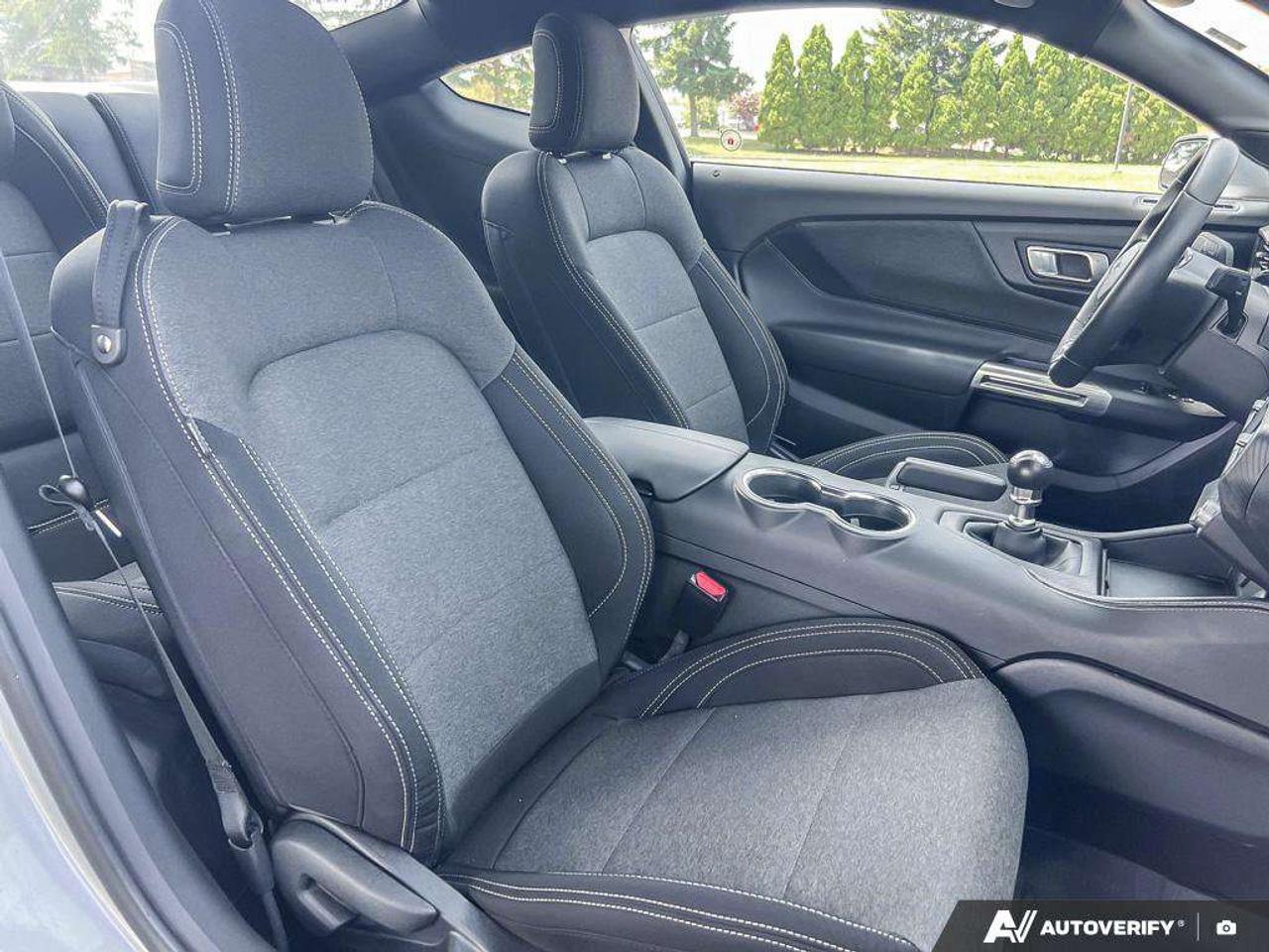 2025 Ford Mustang GT   300A   PERFORMANCE PKG Photo