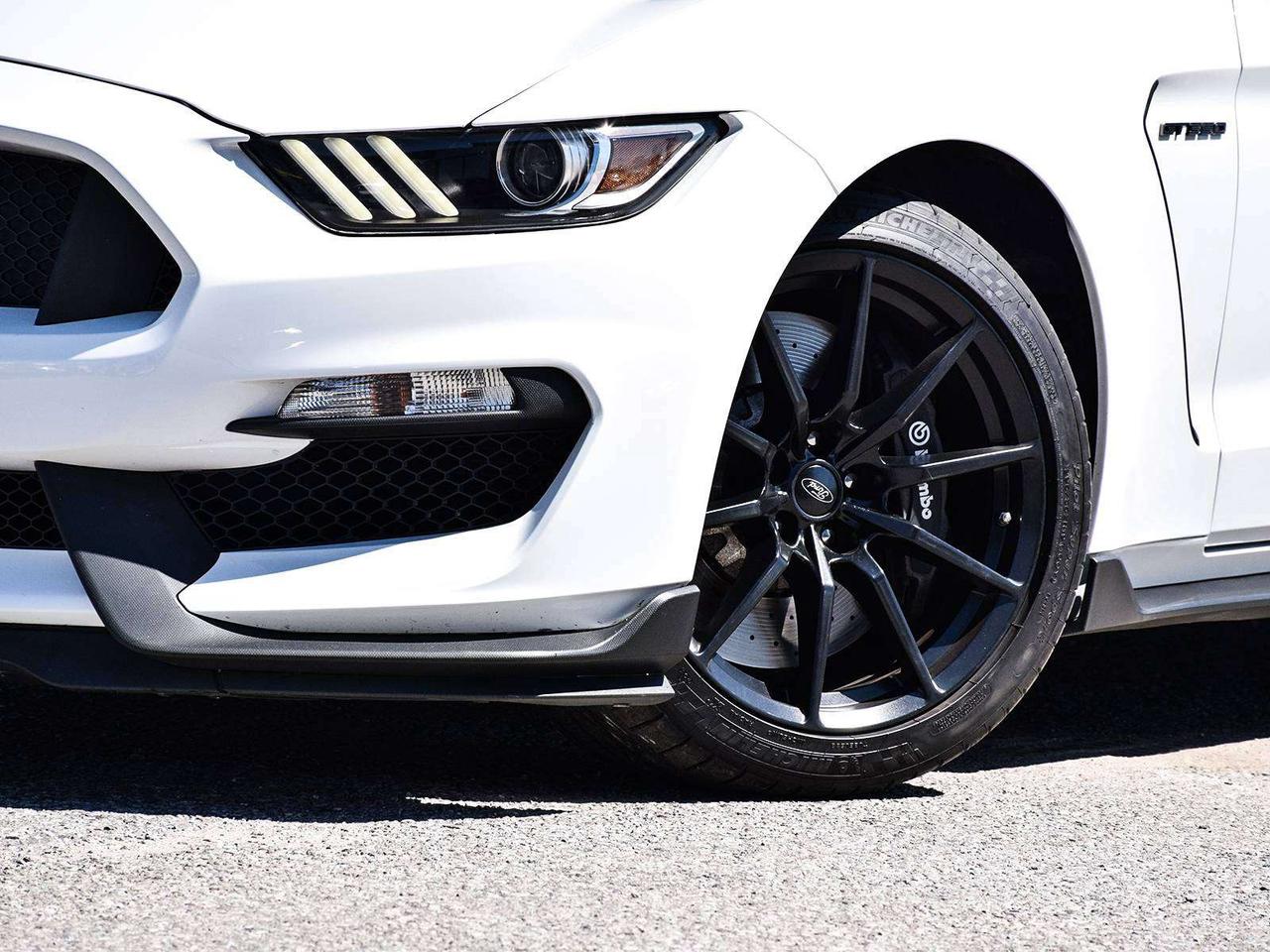 2016 Ford Mustang GT350   526 HP 5.2L V8   6-Speed   Nav   Leather Photo