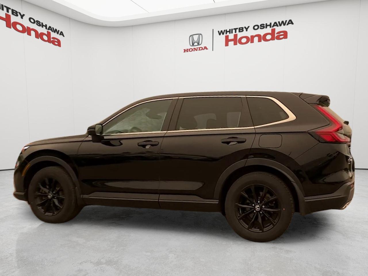 2025 Honda CR-V Hybrid EX-L AWD Photo