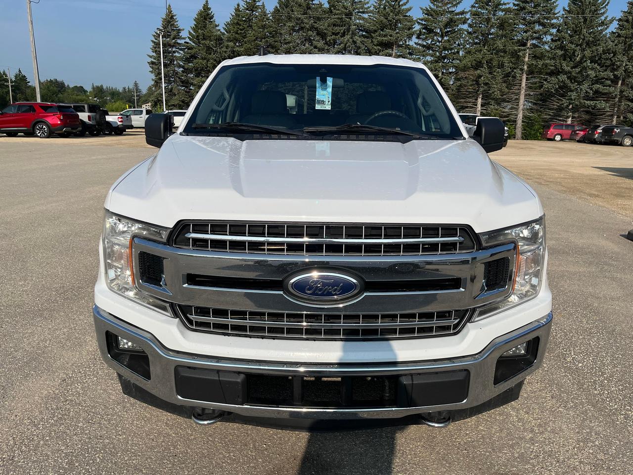 2020 Ford F-150 XLT 4WD SuperCrew 5.5' Box Photo1