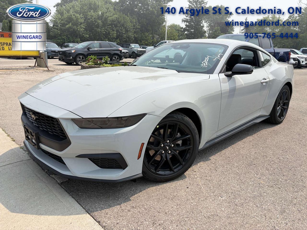 2026 Ford Mustang ECOBOOST PREMIUM Fastback 201A Photo0