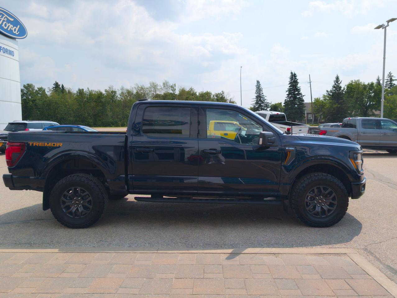 2026 Ford F-150 Tremor Photo4