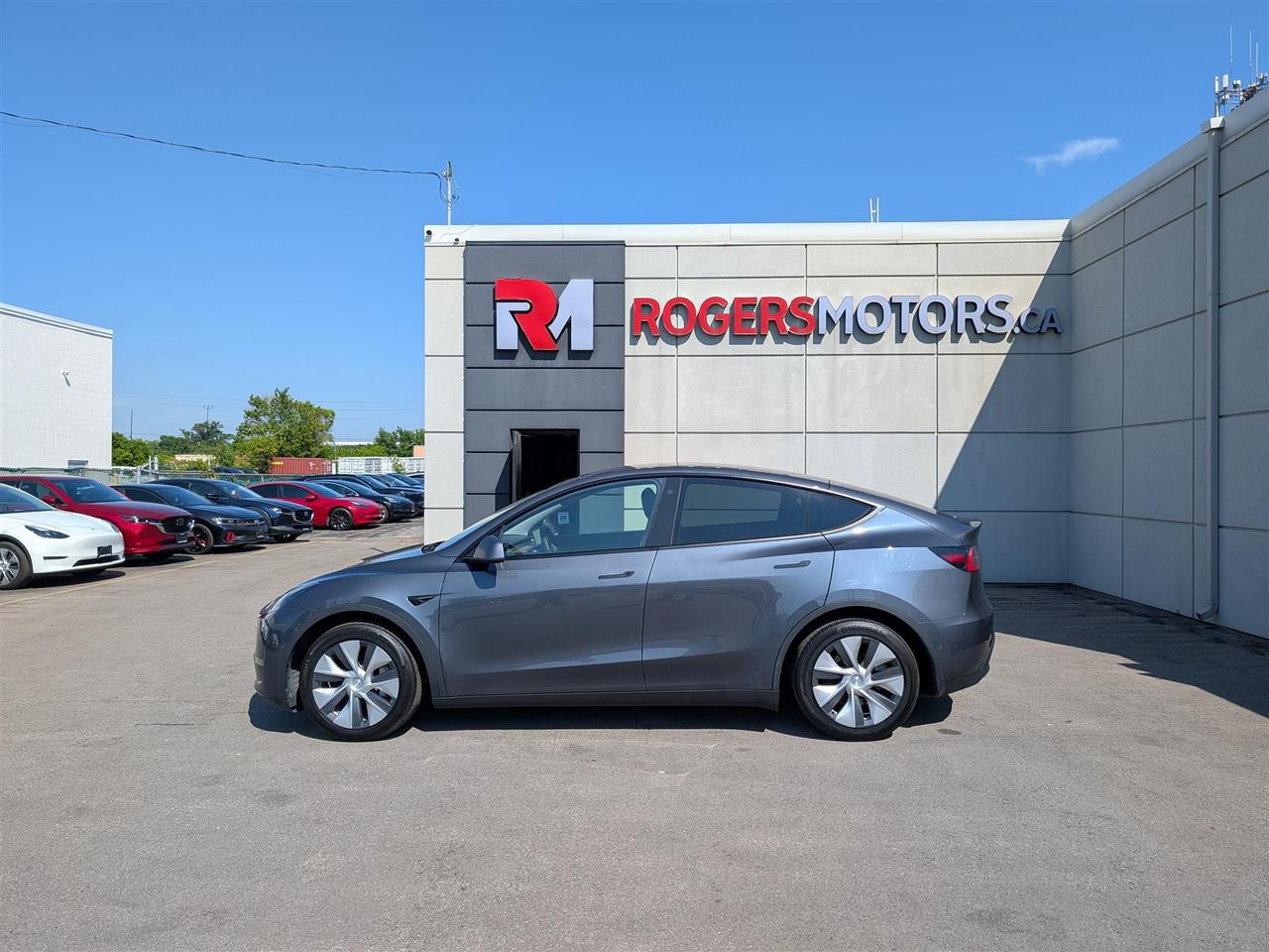 2021 Tesla Model Y STANDARD Photo