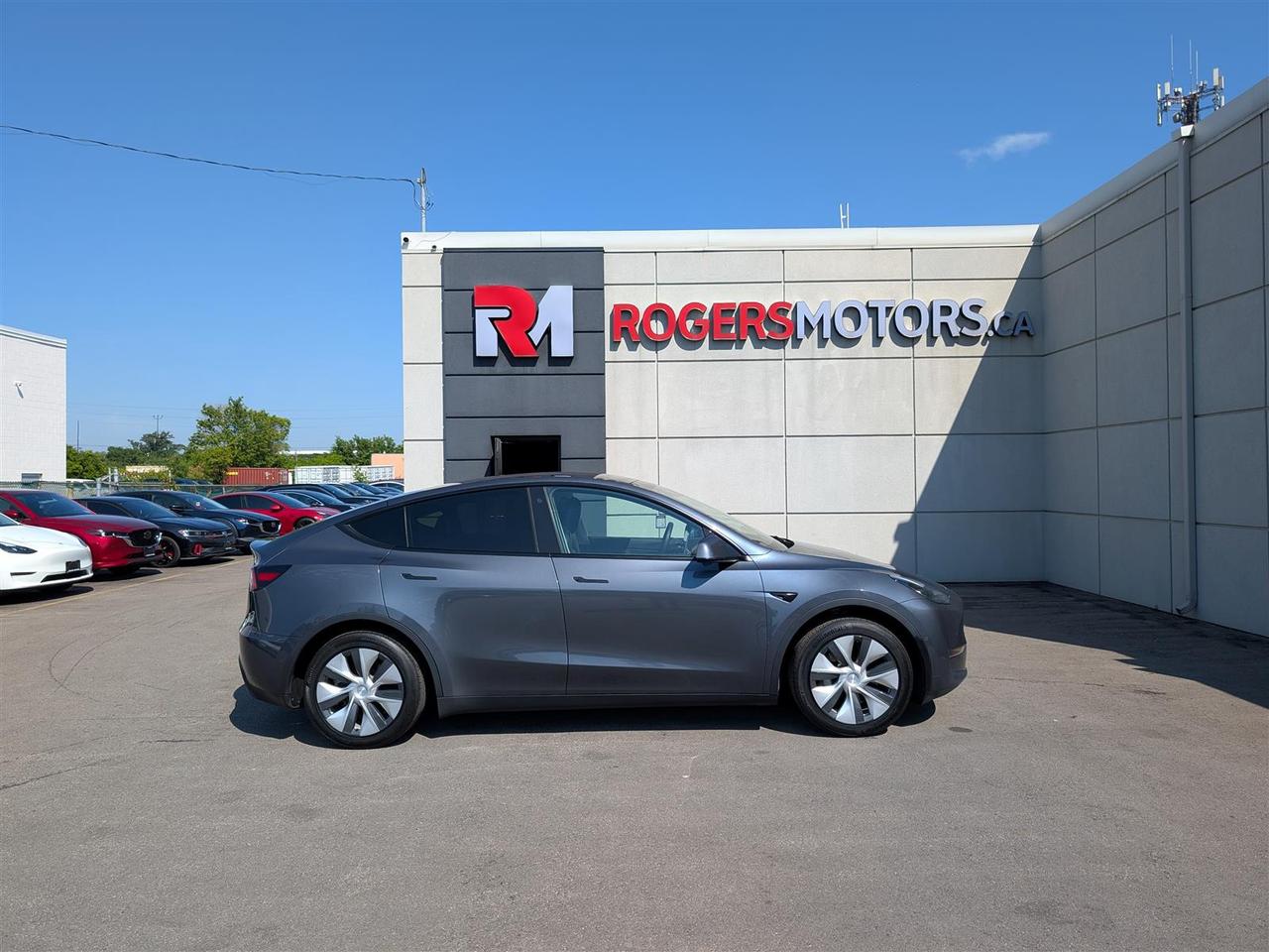 2021 Tesla Model Y STANDARD Photo