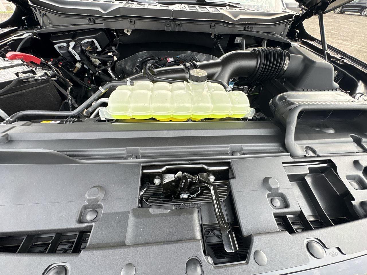 2026 Ford F-150 STX Photo