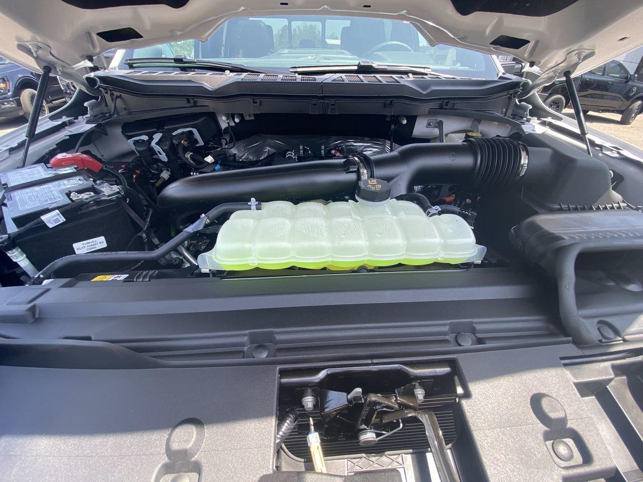 2026 Ford F-150 XLT Photo