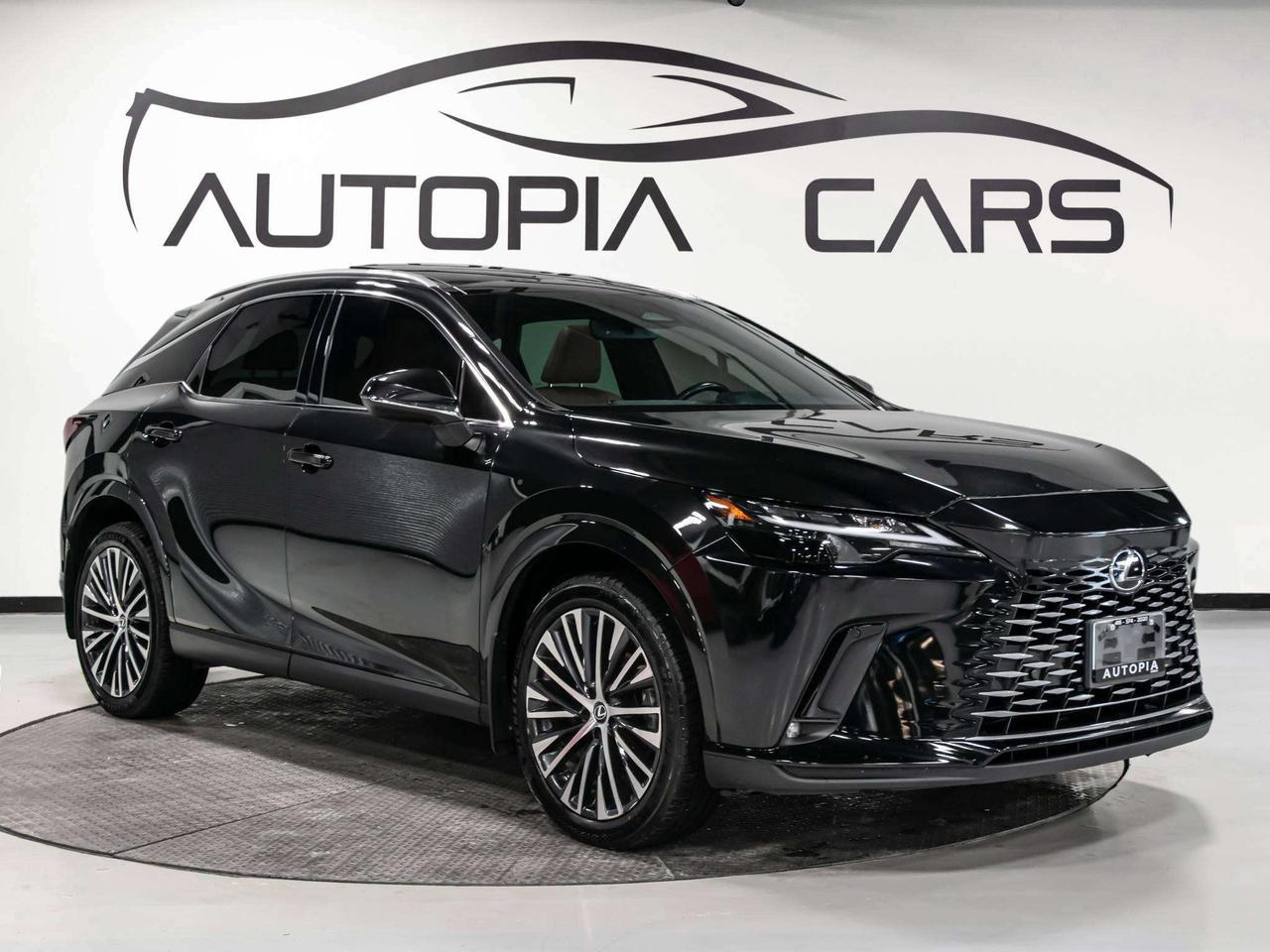 2023 Lexus RX 350H RX 350h LUXURY PKG BROWN INT Photo