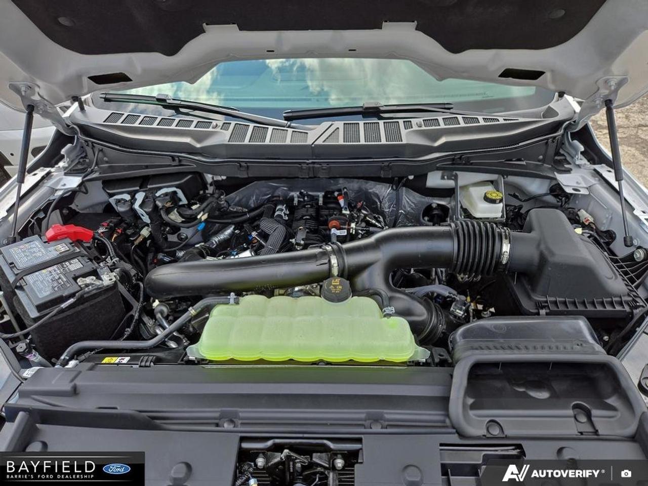 2026 Ford F-150 XLT 4WD SuperCrew 5.5' Box Photo