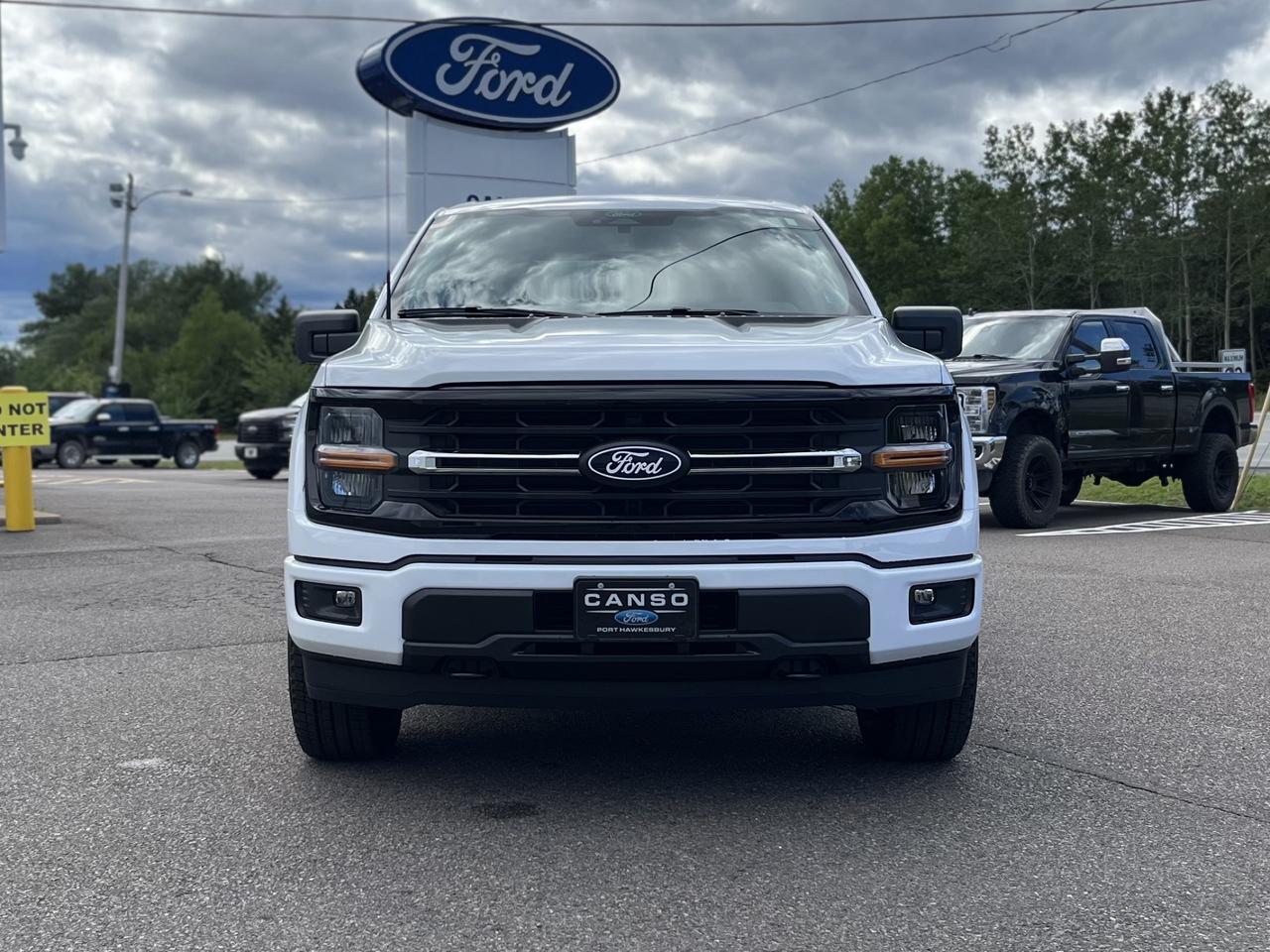 2026 Ford F-150 XLT 4WD SuperCrew 6.5' Box Photo1