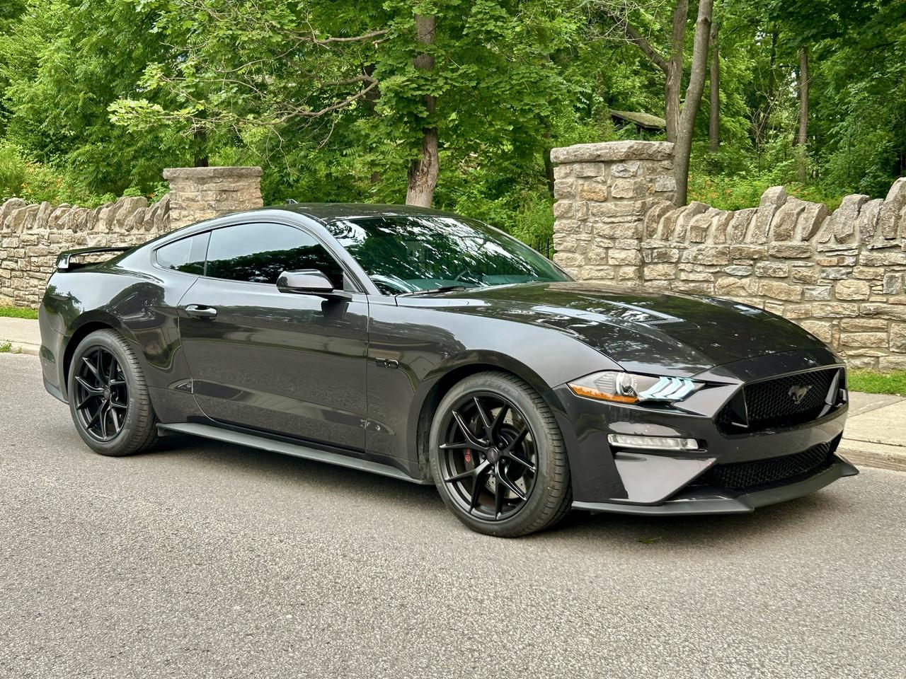 <p>2023 Ford Mustang GT Premium (Performance Package) 5.0L V8 10-Speed Automatic Transmission</p><p>This vehicle is stocked with a load of features, but the previous owner went over that and added the following; J&L Oil Separator / Catch Can ,Renegade Tinted Tail Lights, Bullitt Lower Grille, Ford Racing Emblem Kit, MBRP Cat Back 3 Exhaust, Ceramic Coating, HAWK Performance Brakes, Sentali Street SS3 Rims, and a little more! Factory options include; 401A Equipment Package, Hotspot Removal, GT Performance Package, Magneride Damping System, Active Value Performance, Security Package, B&O Sound System, and more!&nbsp;🥳 Financing Available - Contact Us Today!</p><p>At Callan Motors, all our vehicles come certified in Ontario unless otherwise noted. Every car receives a full mechanical inspection so you can drive with confidence. Plus, we stand behind our work with a 30-Day / 1,000-KM in-house warranty on repairs completed for certification or while in our inventory.&nbsp;We&rsquo;ve proudly served Perth and the surrounding area for over 32 years, offering reliable vehicles at fair prices. We keep our prices competitive&mdash;often below market&mdash;and update them regularly so you know you&rsquo;re getting solid value. Our team is available 7 days a week to answer any questions online or in person Monday through Saturday.</p><p>* Additional costs may include: HST, Documentation Fee ($299), Licensing ($125), Carfax ($50) and/or OMVIC Fee ($22).Each deal is different, any additional fee(s) or bank financing fee(s) will be explained during your visit to the dealership.</p>