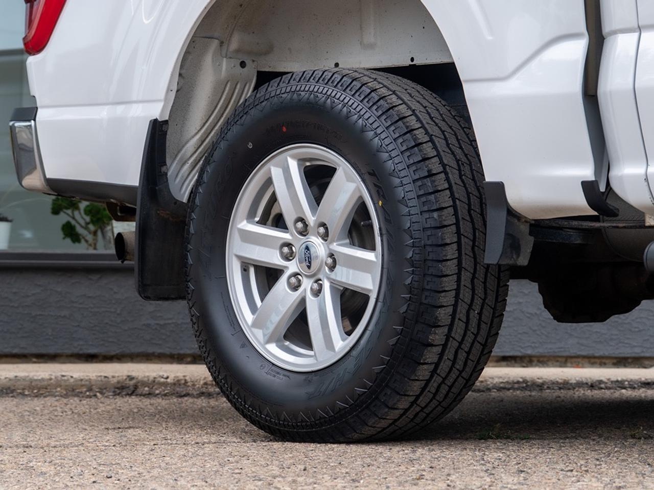 2023 Ford F-150 XLT Photo3