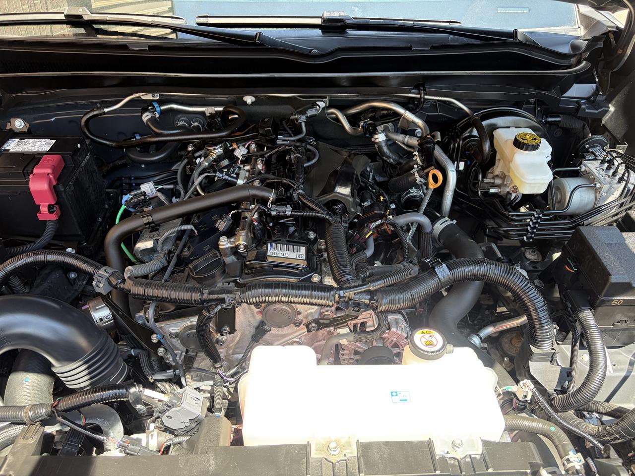 2024 Toyota Tacoma TRD  Sport Photo
