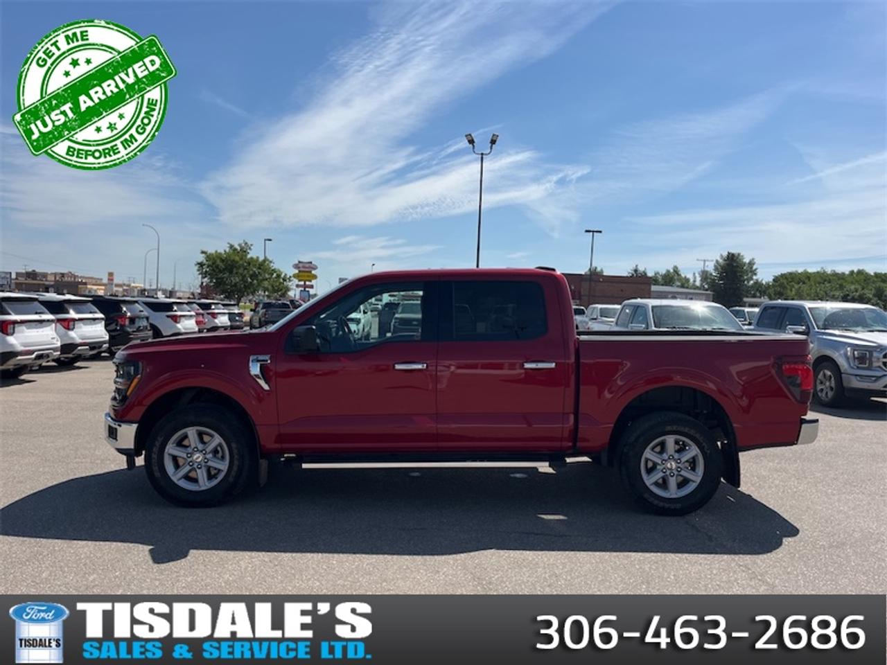 2025 Ford F-150 XLT  - Climate Control -  SYNC 4 Photo0
