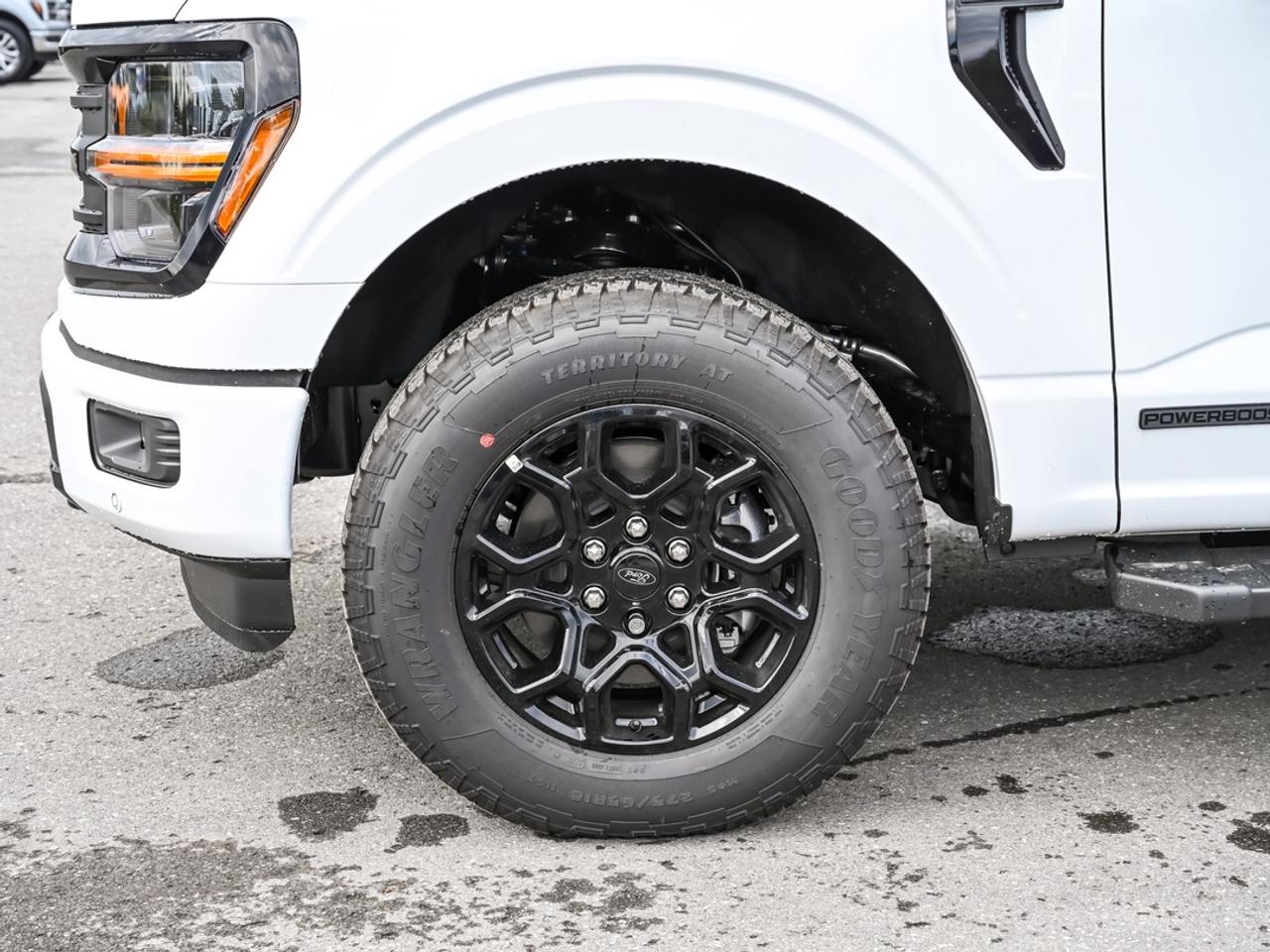 2026 Ford F-150 XLT Photo