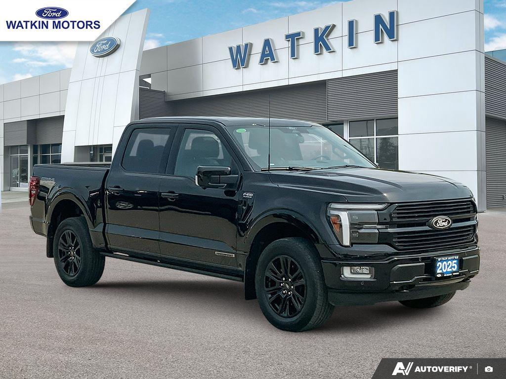 2025 Ford F-150 Platinum photo 7