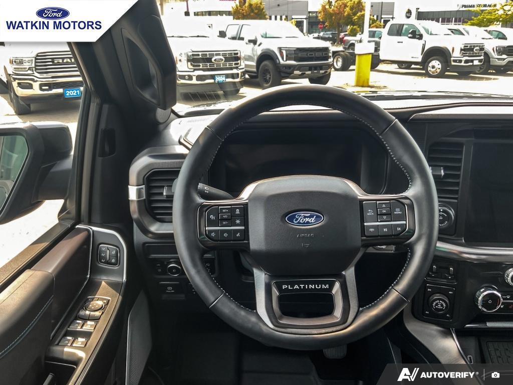 2025 Ford F-150 Platinum photo 17