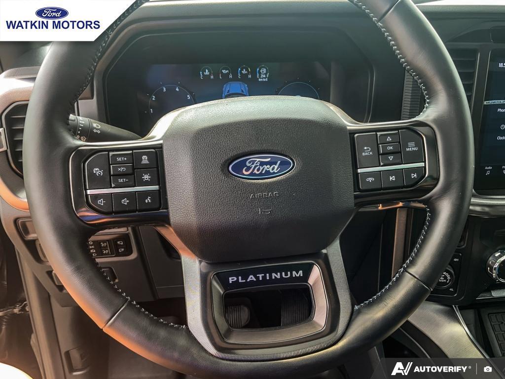 2025 Ford F-150 Platinum photo 19