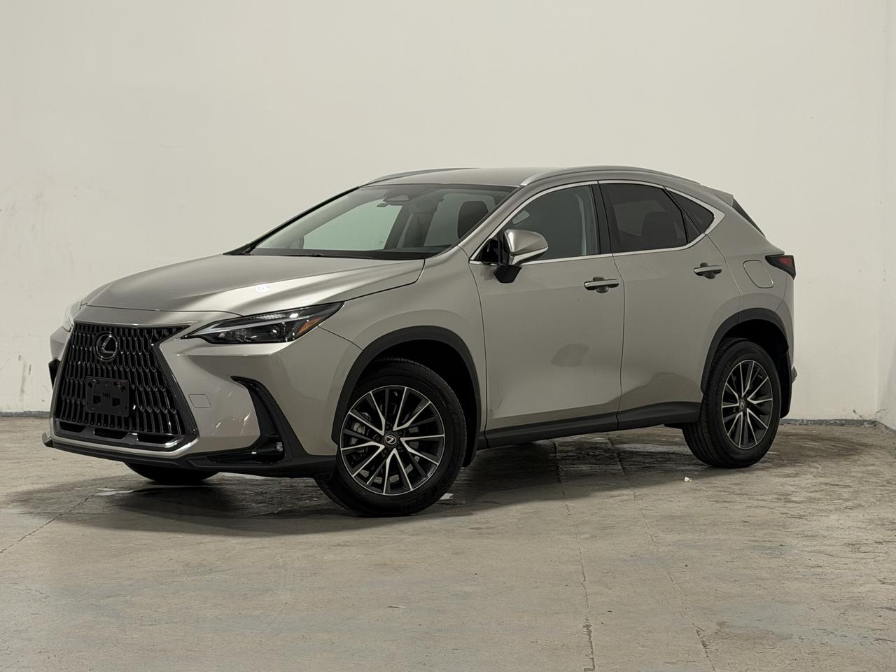 2023 Lexus NX NX 250 AWD - Photo #1