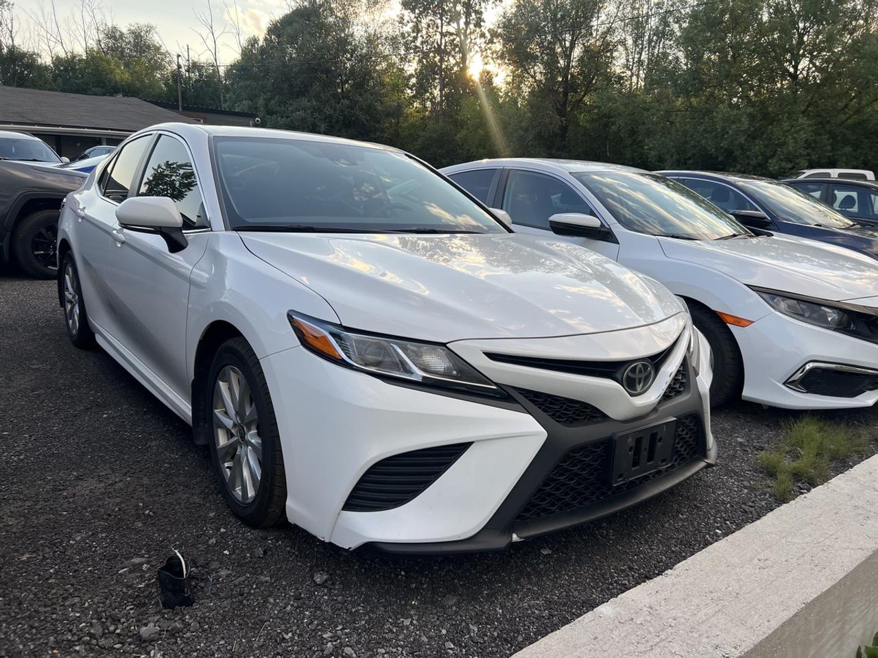 2020 Toyota Camry SE Photo