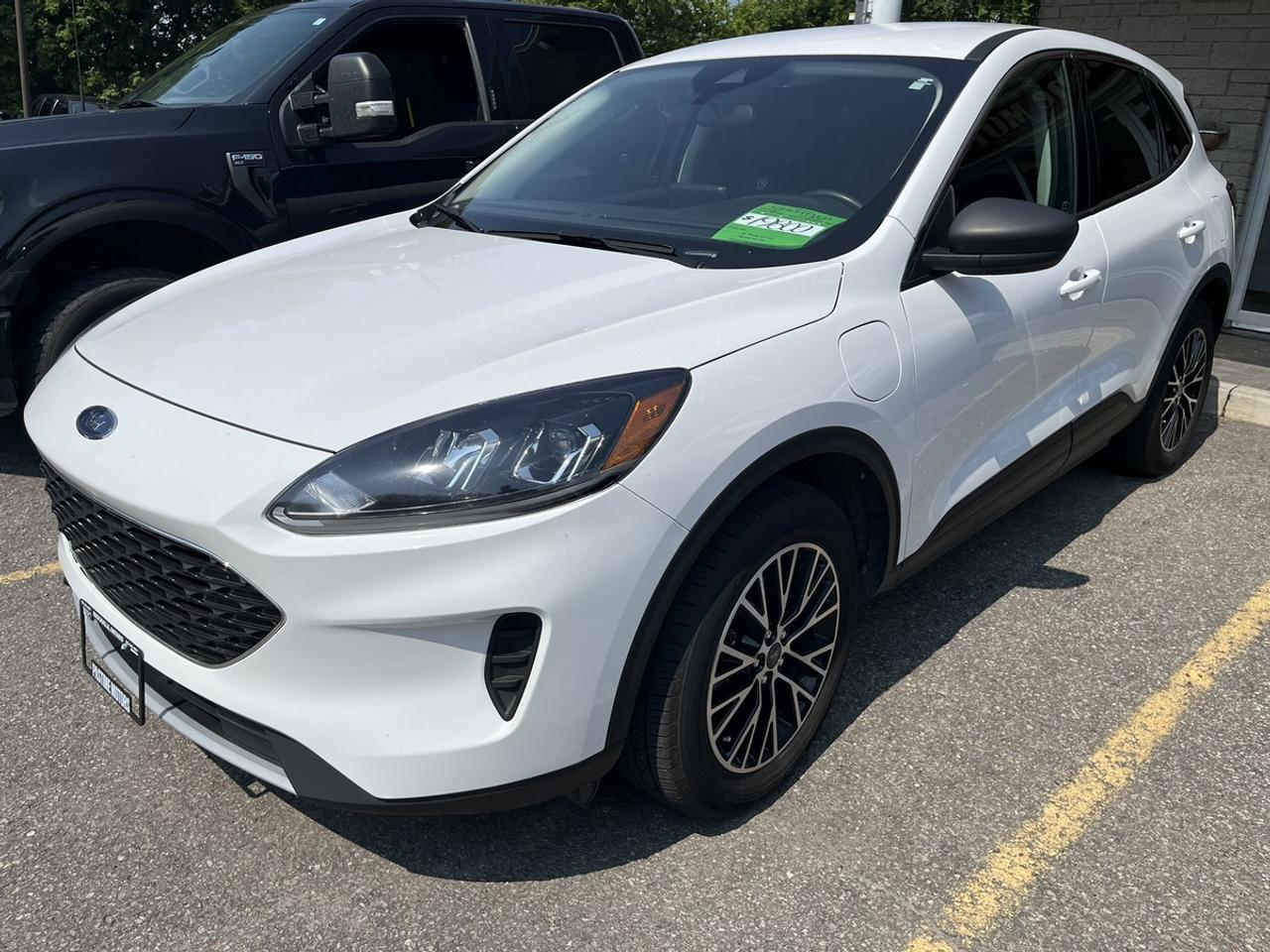 2022 Ford Escape SE Photo