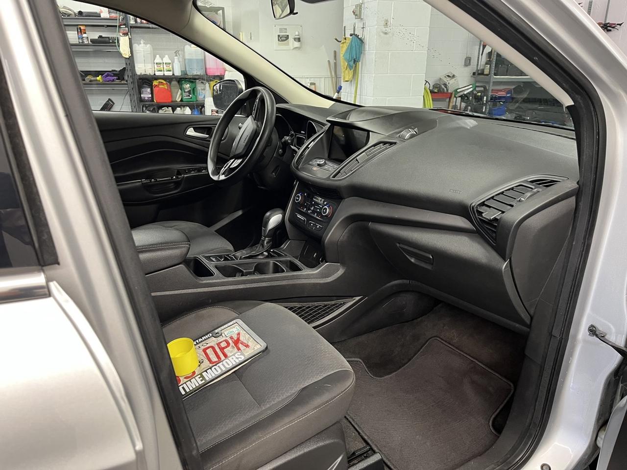2019 Ford Escape SE Photo