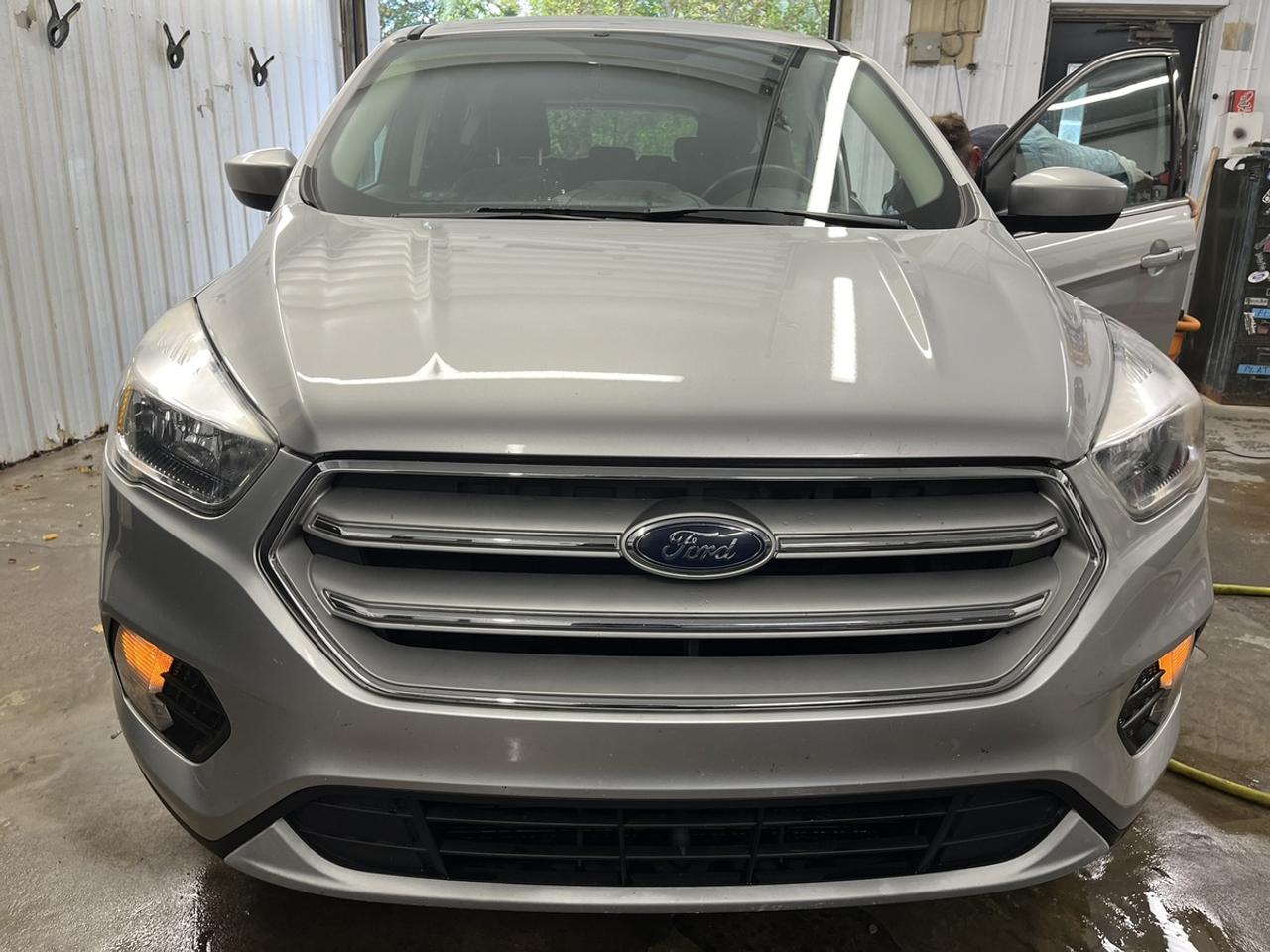 2019 Ford Escape SE Photo