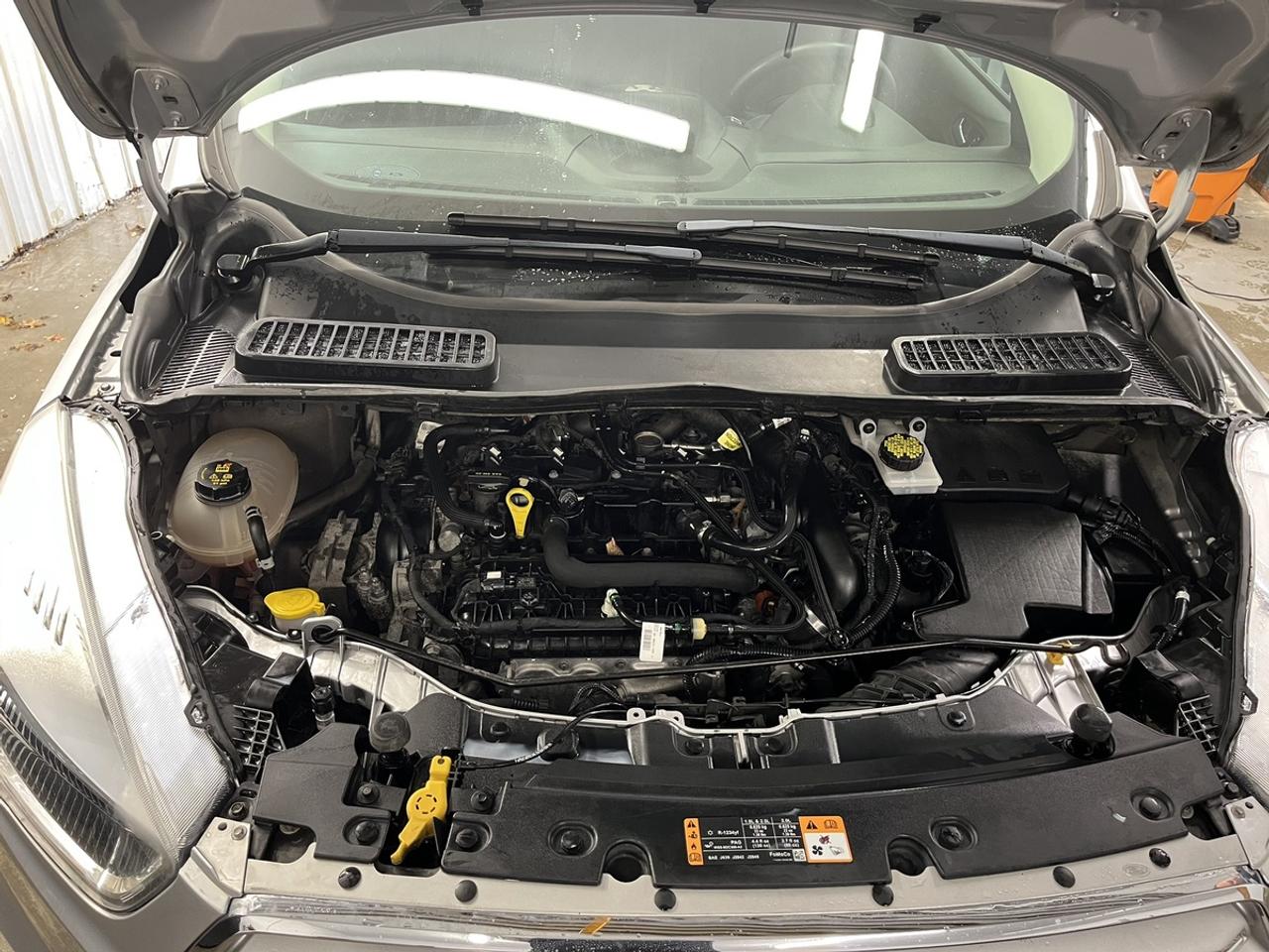 2019 Ford Escape SE Photo