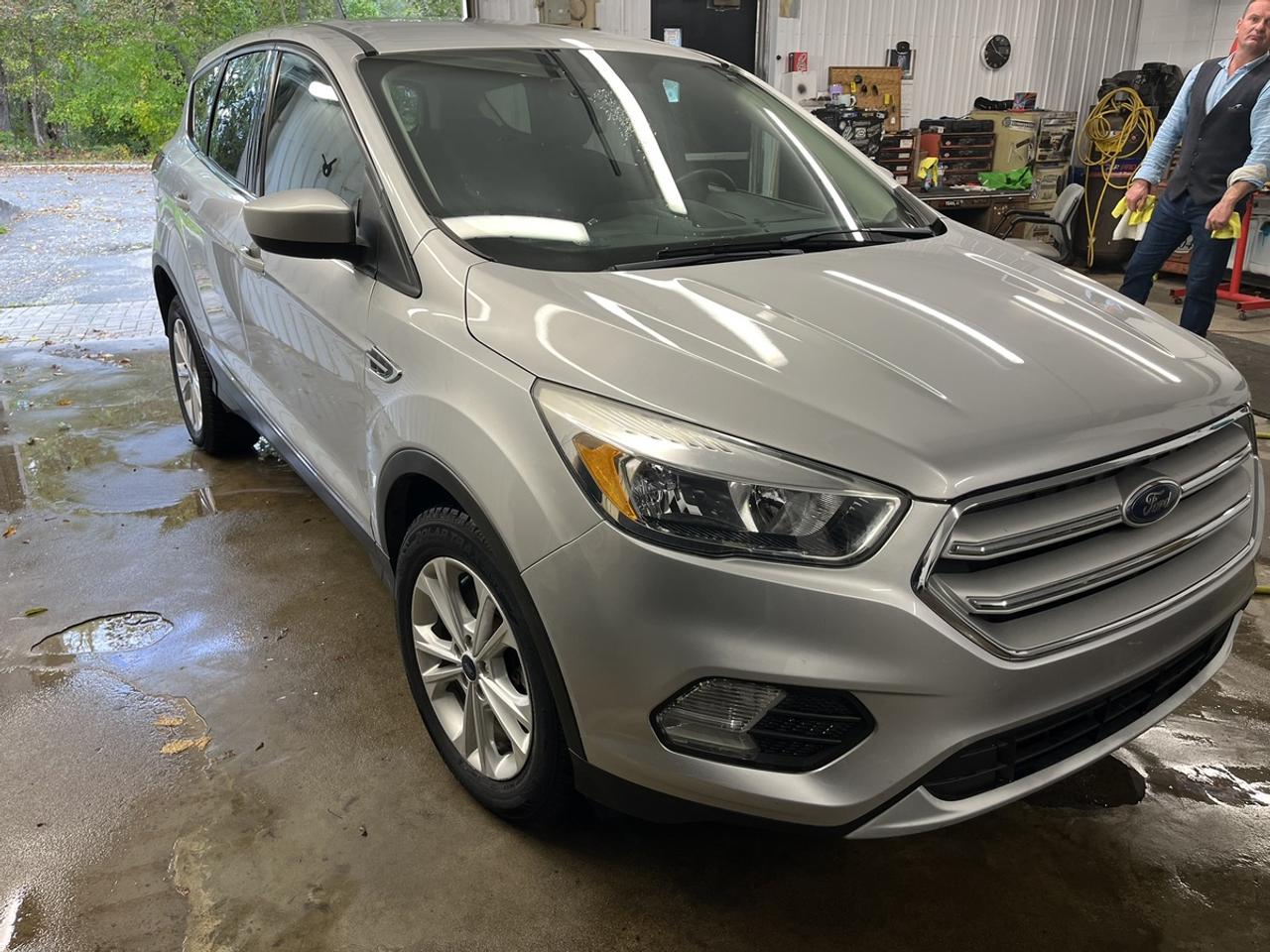 2019 Ford Escape SE Photo