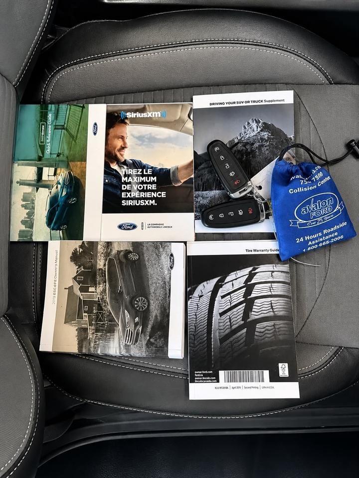 2019 Ford Escape SE Photo