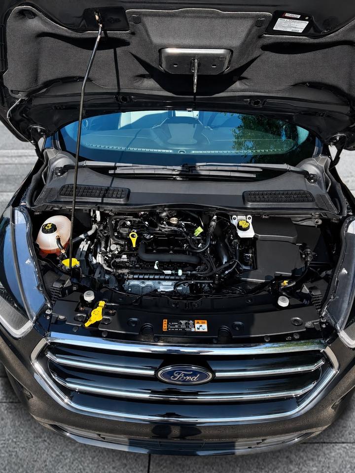 2019 Ford Escape SE Photo
