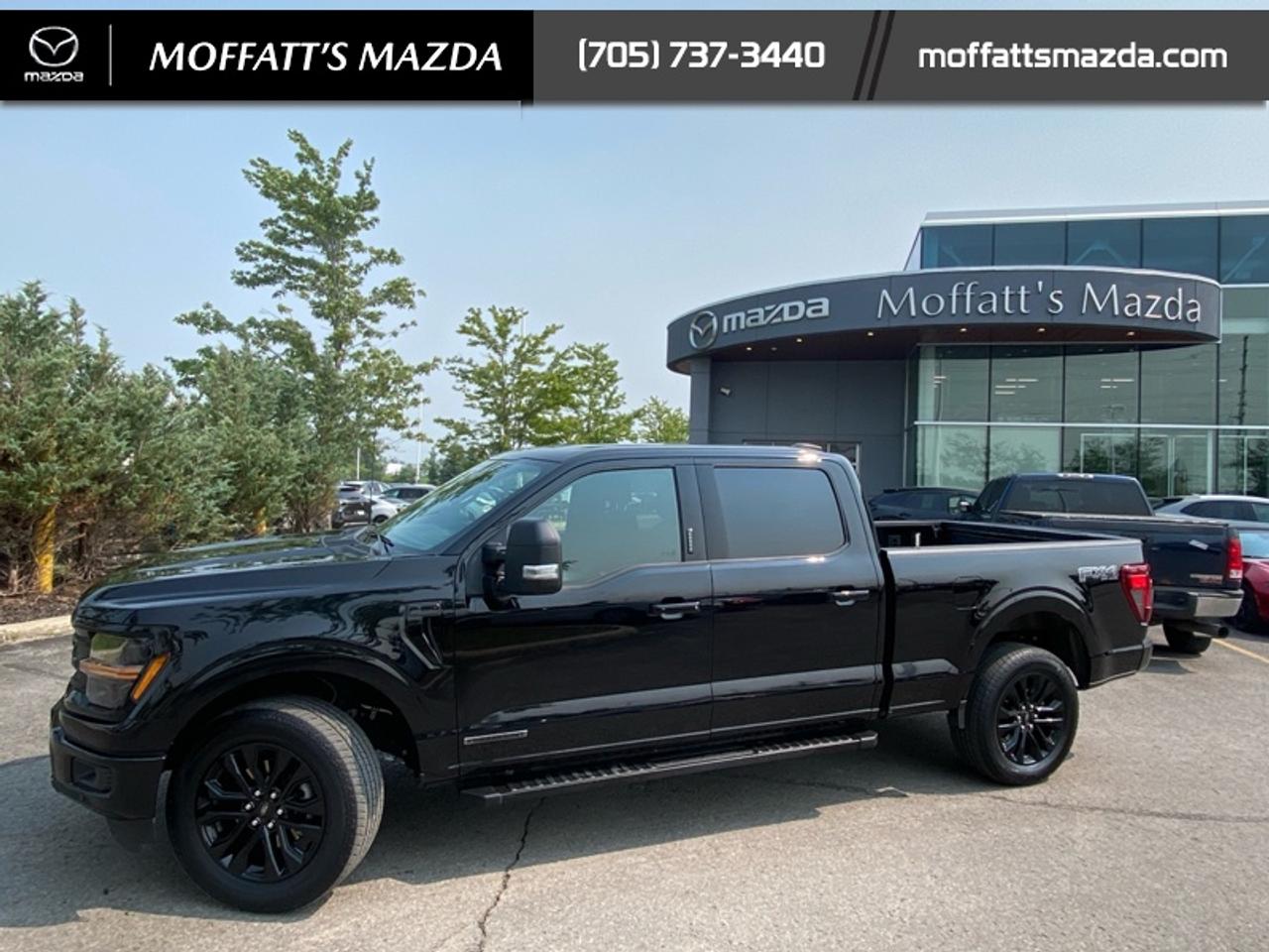 2024 Ford F-150 XLT Photo
