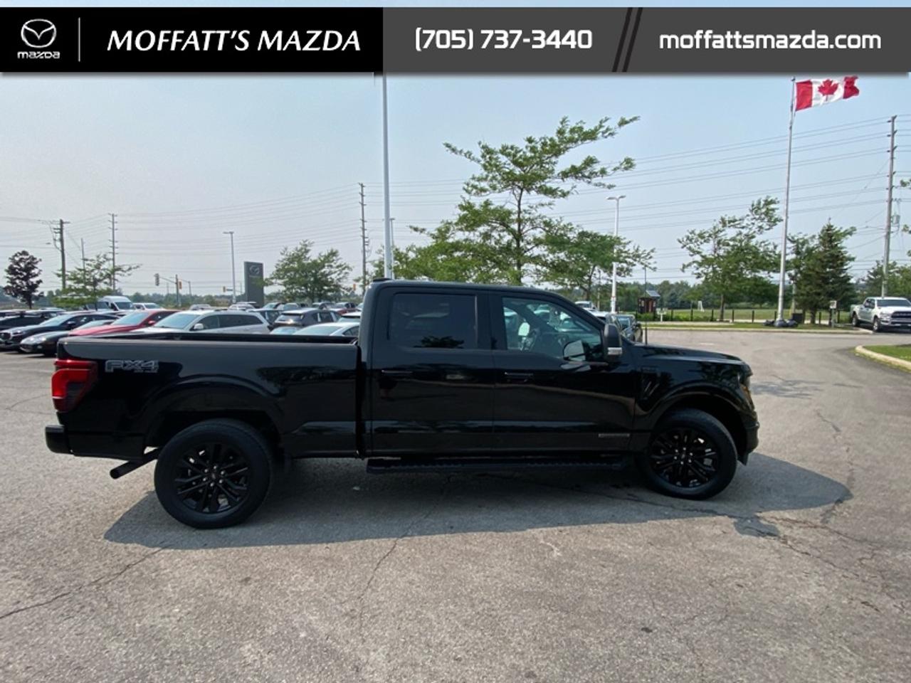 2024 Ford F-150 XLT Photo