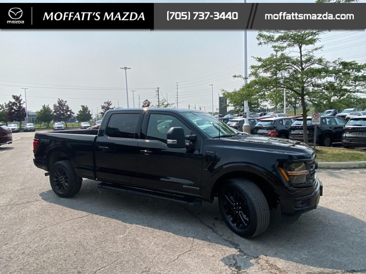 2024 Ford F-150 XLT Photo