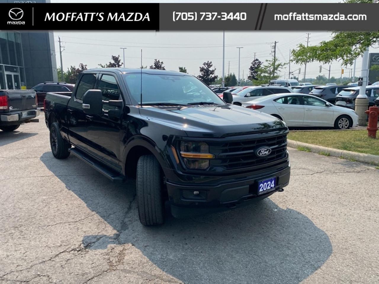 2024 Ford F-150 XLT Photo