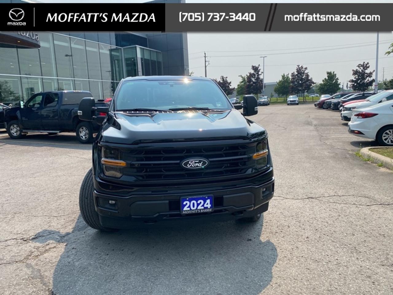 2024 Ford F-150 XLT Photo