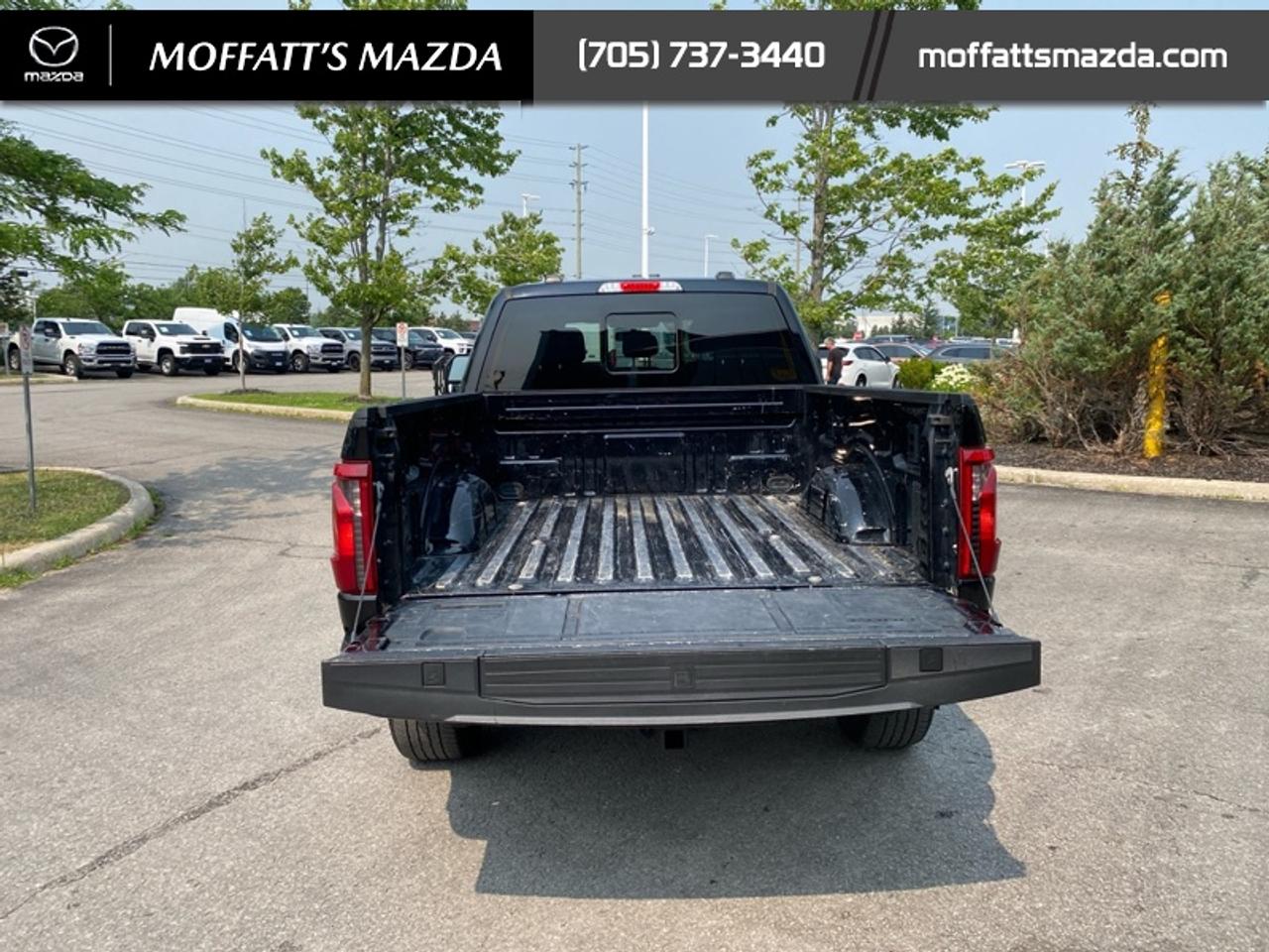 2024 Ford F-150 XLT Photo