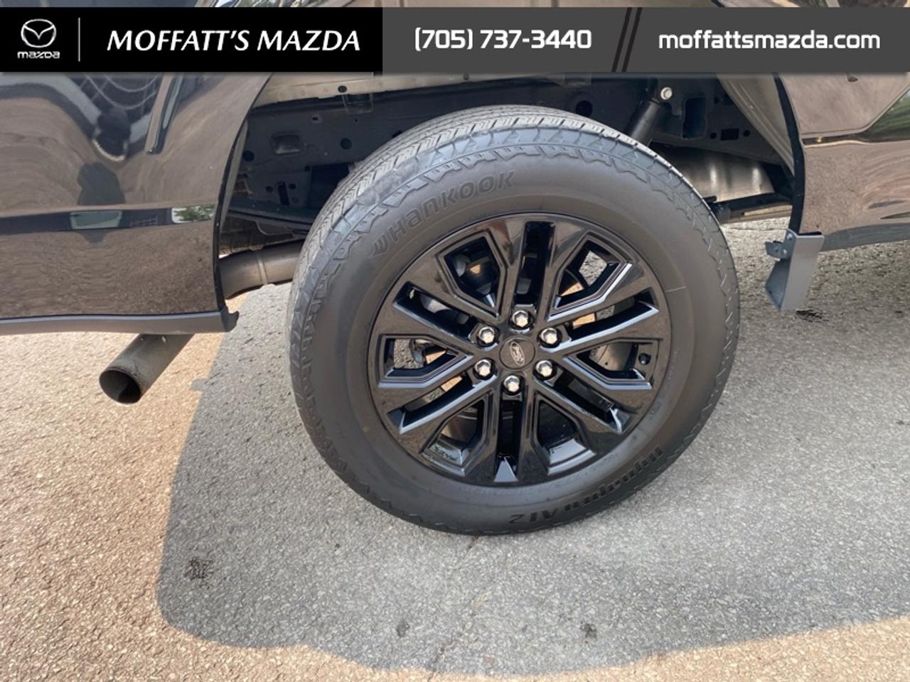 2024 Ford F-150 XLT Photo