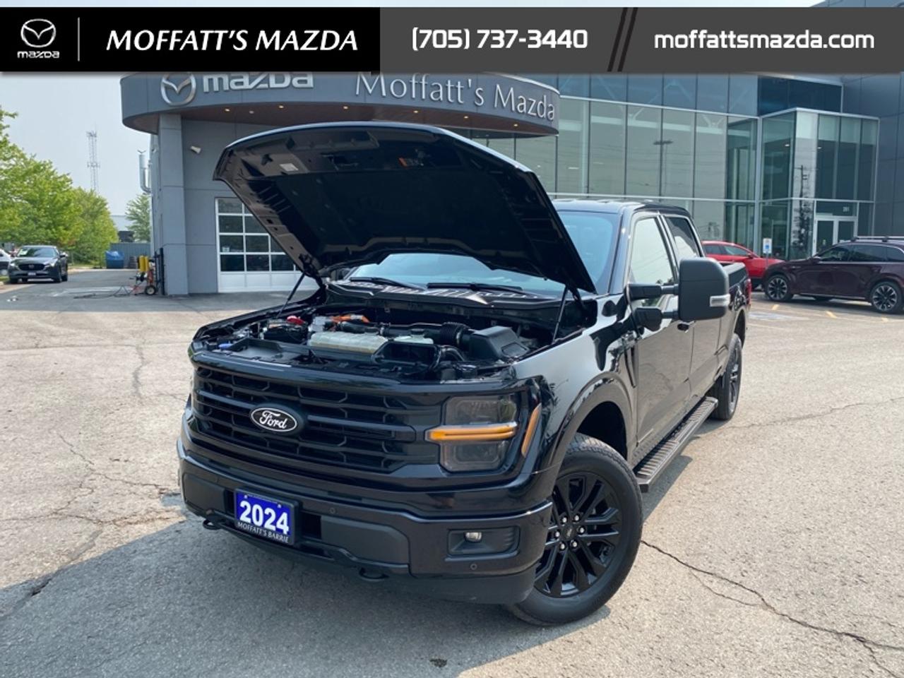 2024 Ford F-150 XLT Photo