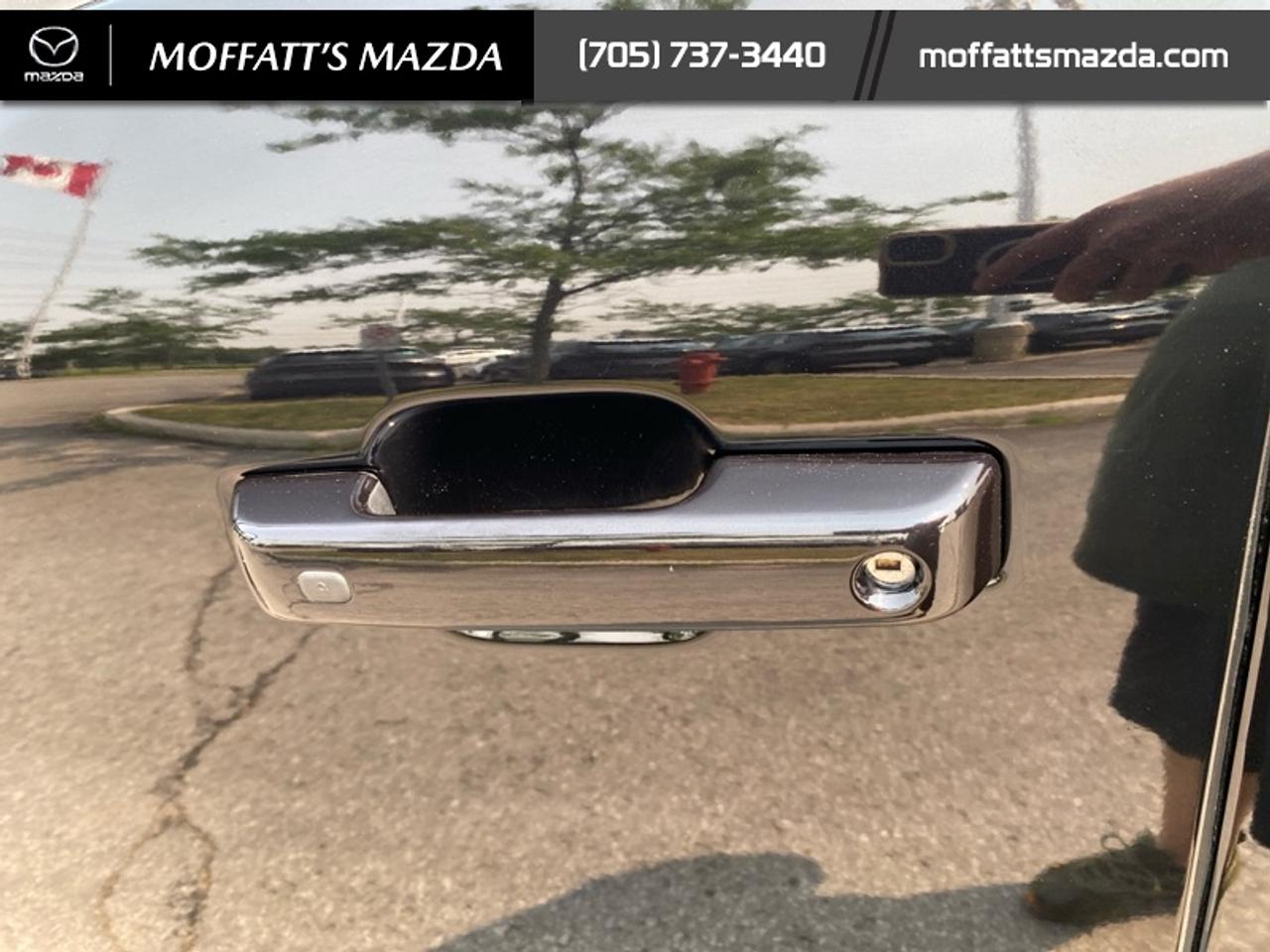 2024 Ford F-150 XLT Photo