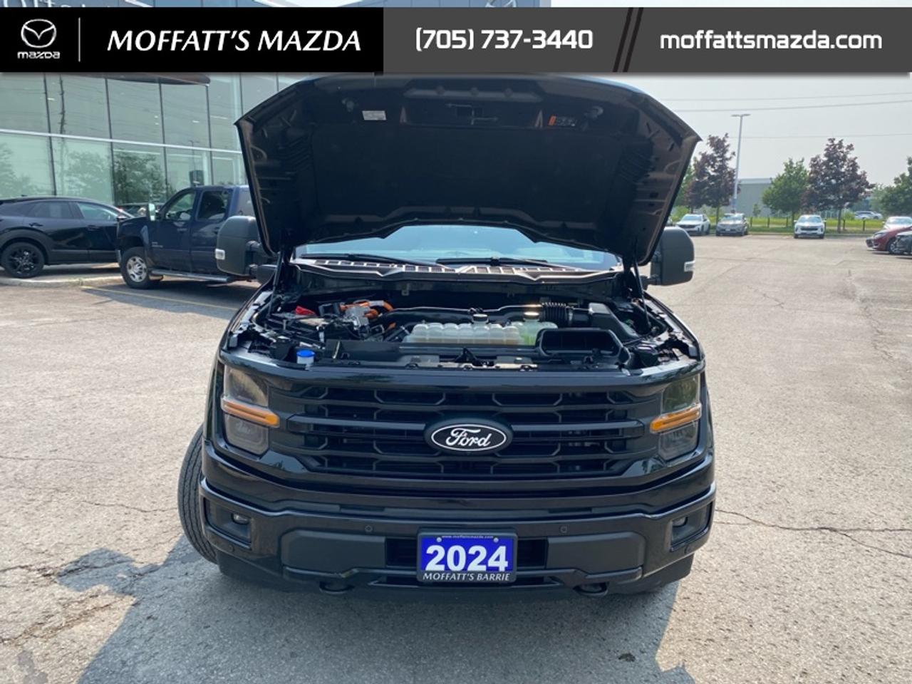 2024 Ford F-150 XLT Photo