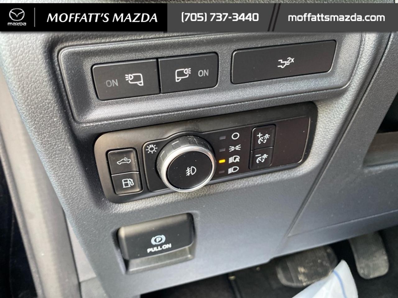 2024 Ford F-150 XLT Photo