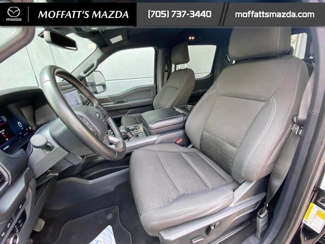 2024 Ford F-150 XLT Photo