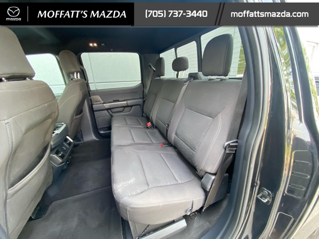2024 Ford F-150 XLT Photo
