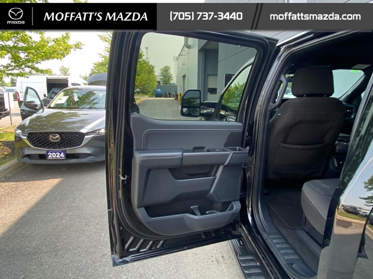 2024 Ford F-150 XLT Photo