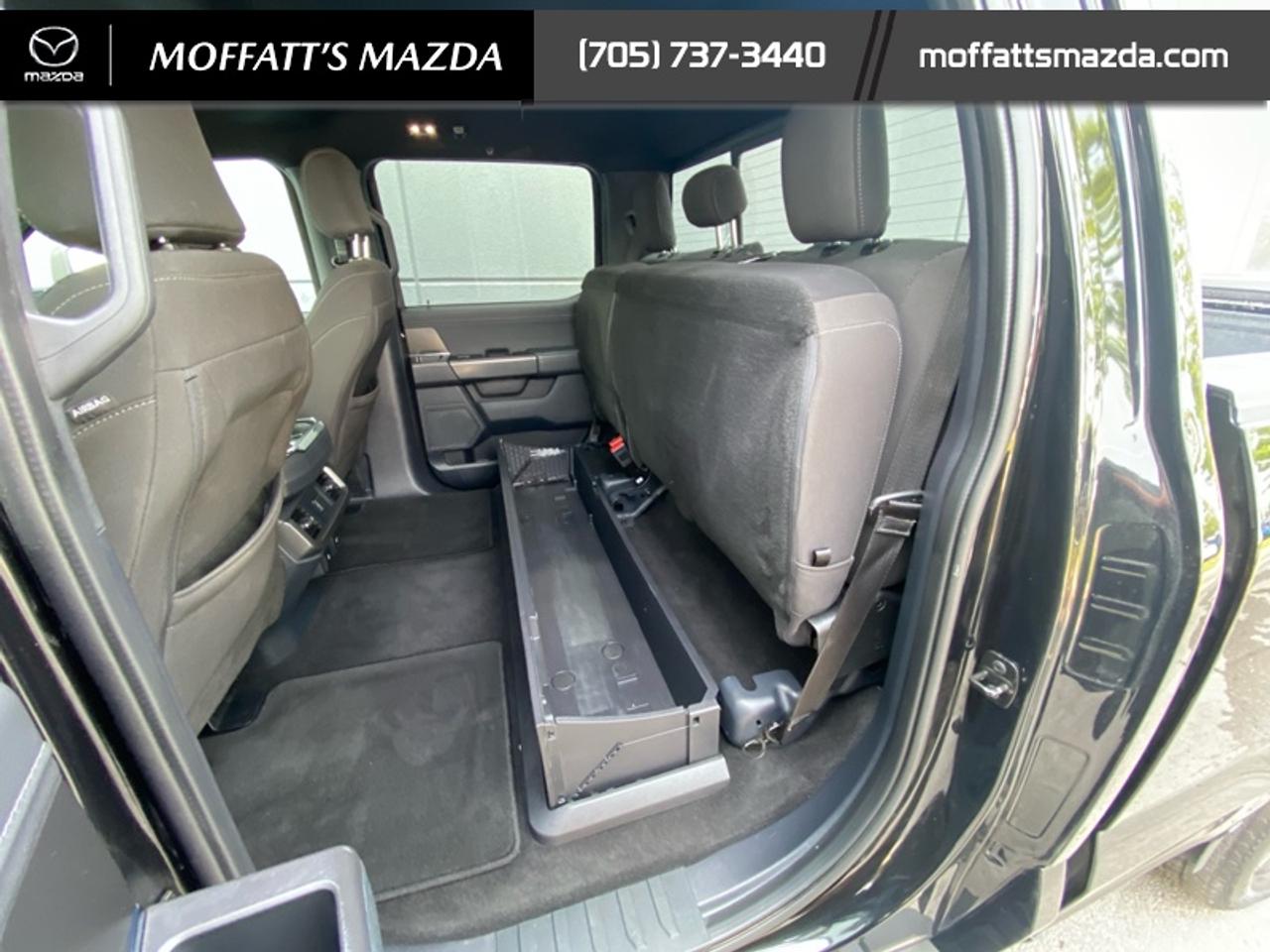 2024 Ford F-150 XLT Photo